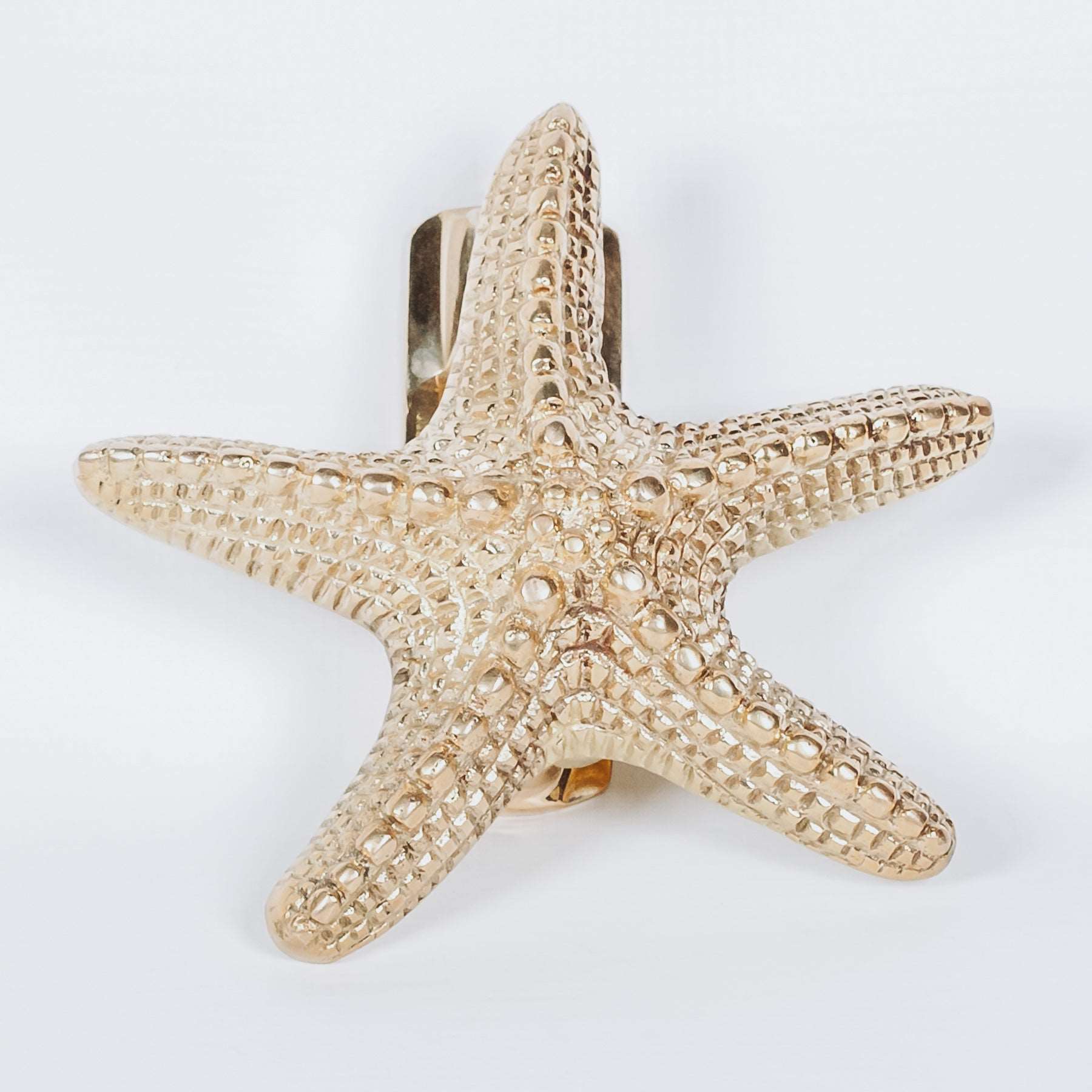 Animale Brass Starfish Door Knocker - Apollo Homeware